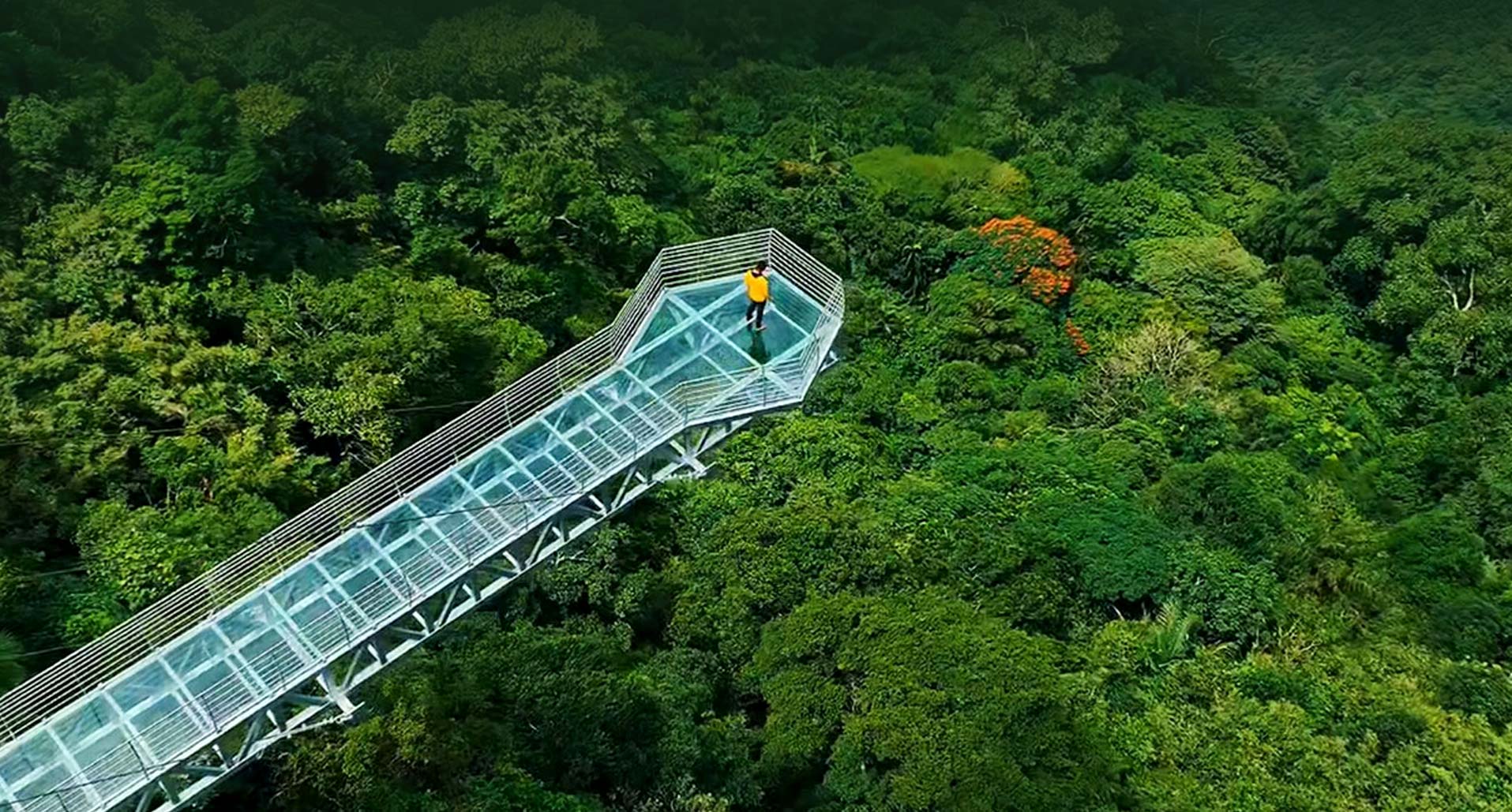 Bharat Mata Ventures Pvt. Ltd.